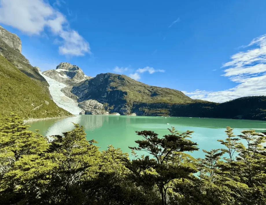 17567403551422014136