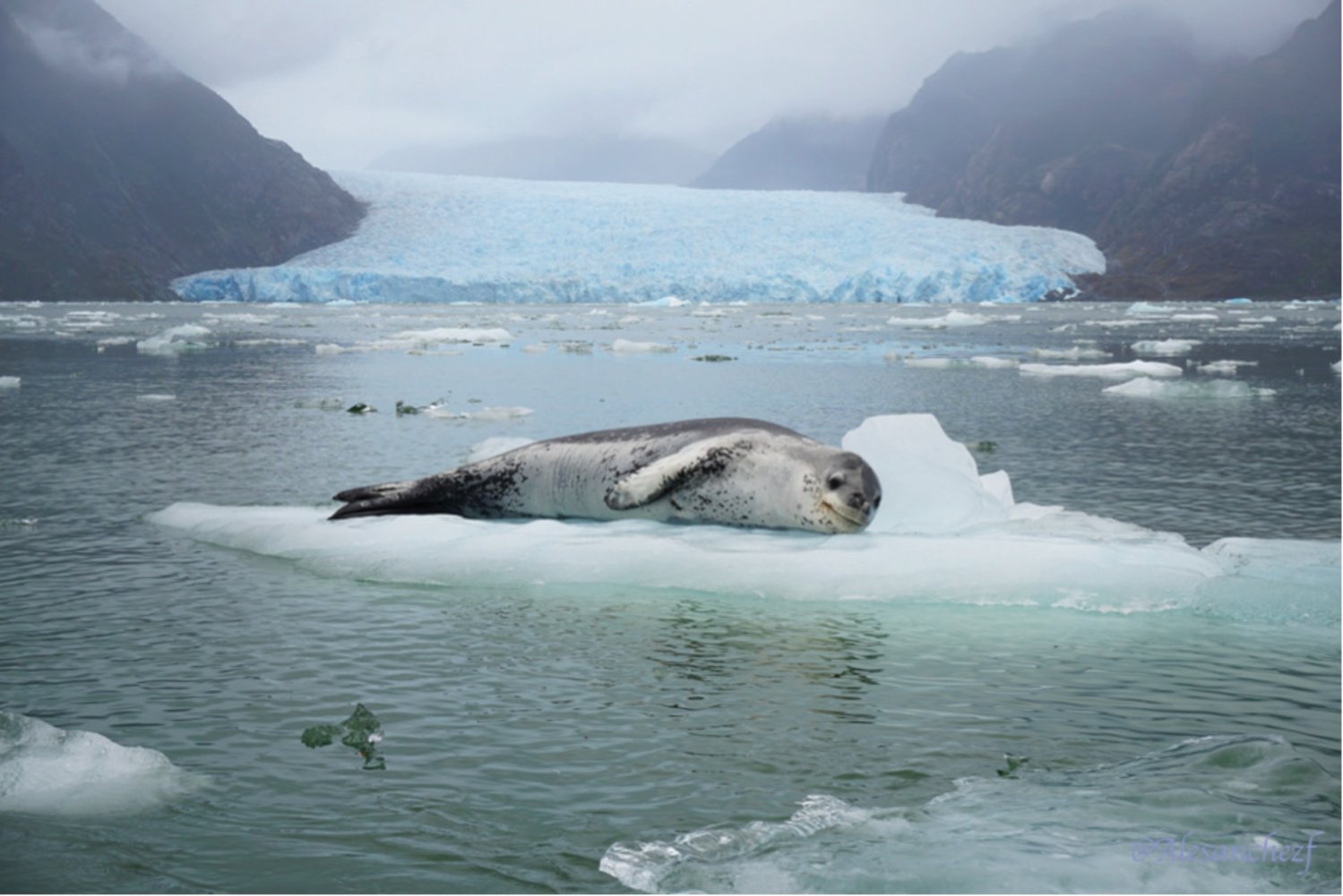 5de4c4be4794c-638248